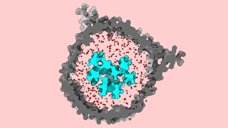 decoding-t-cell-receptor-dynamics-new-molecular-insight-to-revolutionize-immunotherapy-efficacy