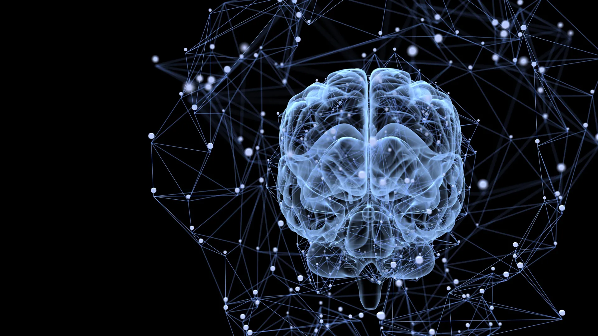neural-communication-dynamics-unveiled-protein-kcc2-governs-reward-based-learning-and-habit-formation