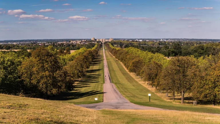 optimizing-daily-movement-extended-walking-sessions-dramatically-reduce-mortality-and-cardiovascular-disease-risk-for-sedentary-individuals