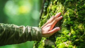 the-evolutionary-mismatch-how-modernity-challenges-innate-human-physiology