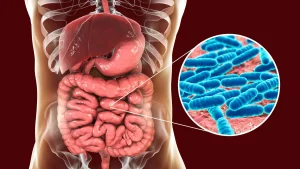 unseen-connections-how-co-habitation-extends-genetic-influence-over-the-gut-microbiome