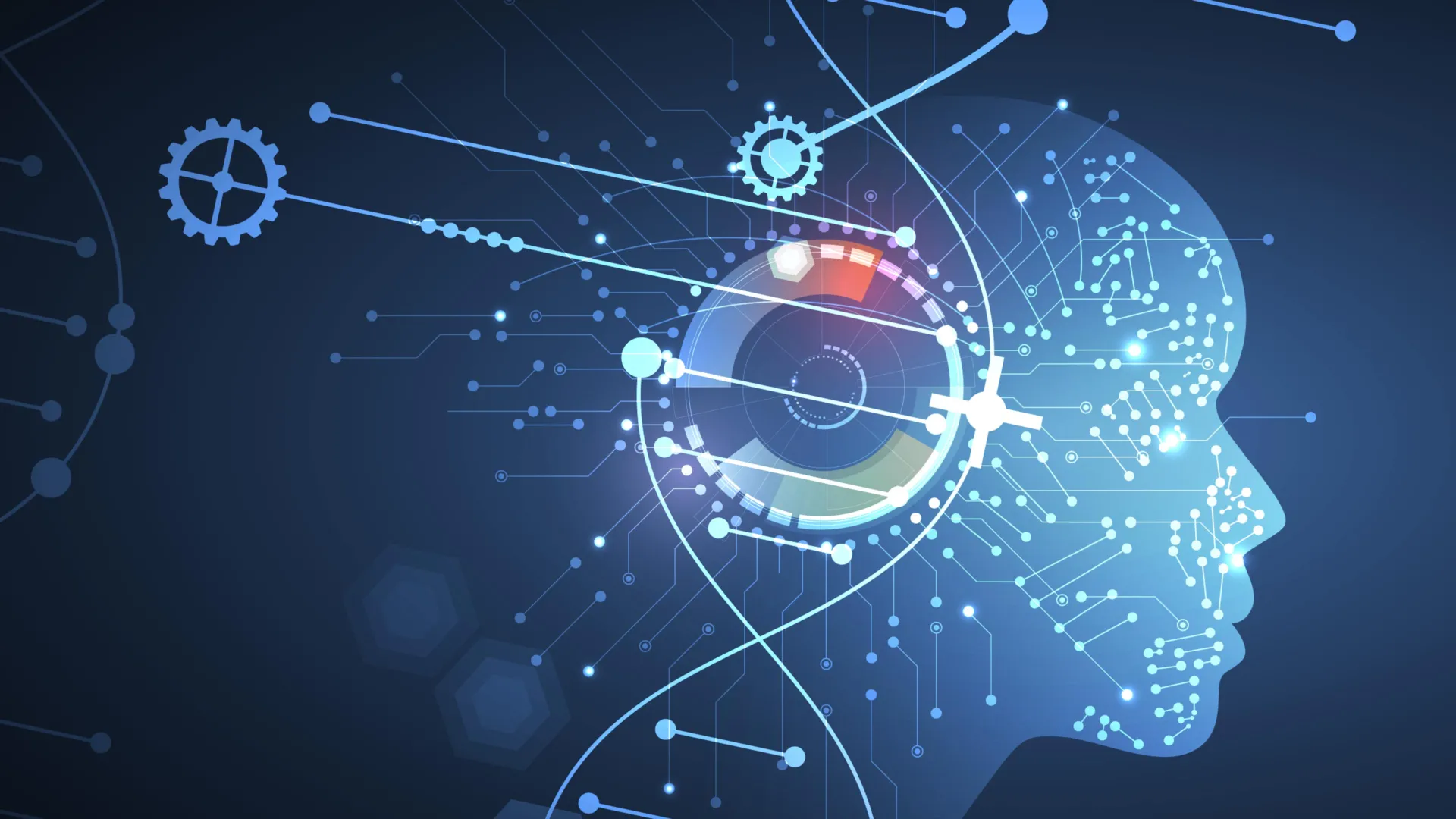 unveiling-algorithmic-prejudices-ais-unintended-demographic-scrutiny-in-cancer-pathology