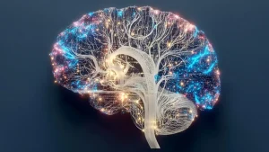 cerebrospinal-fluid-ejection-during-wakefulness-signifies-brains-struggle-with-sleep-deprivation