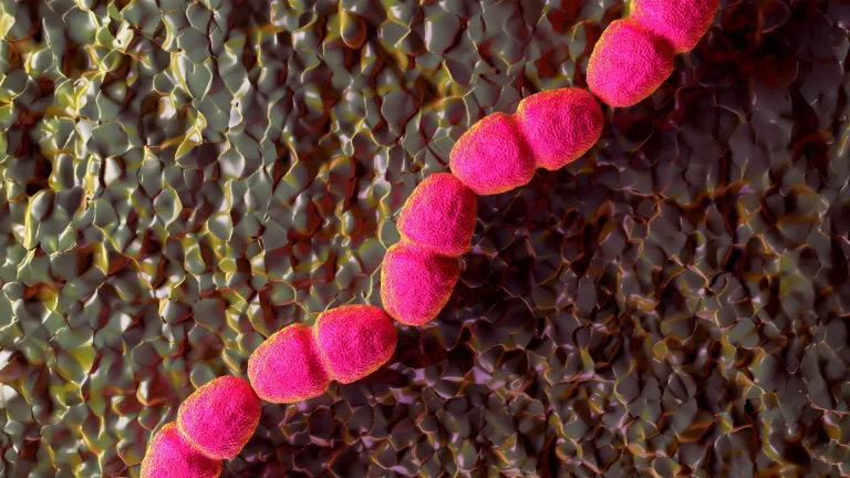 deciphering-the-biological-stasis-researchers-uncover-bacterial-mechanism-perpetuating-non-healing-wounds