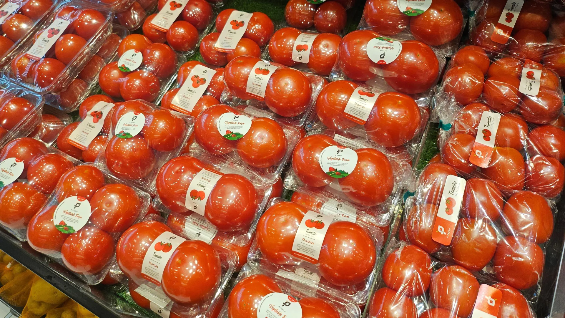 emerging-research-casts-doubt-on-the-safety-of-bpa-free-food-packaging-alternatives