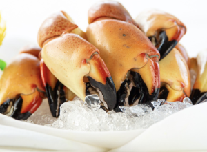 navigating-the-culinary-currents-major-dining-chains-elevating-their-commitment-to-sustainably-harvested-seafood