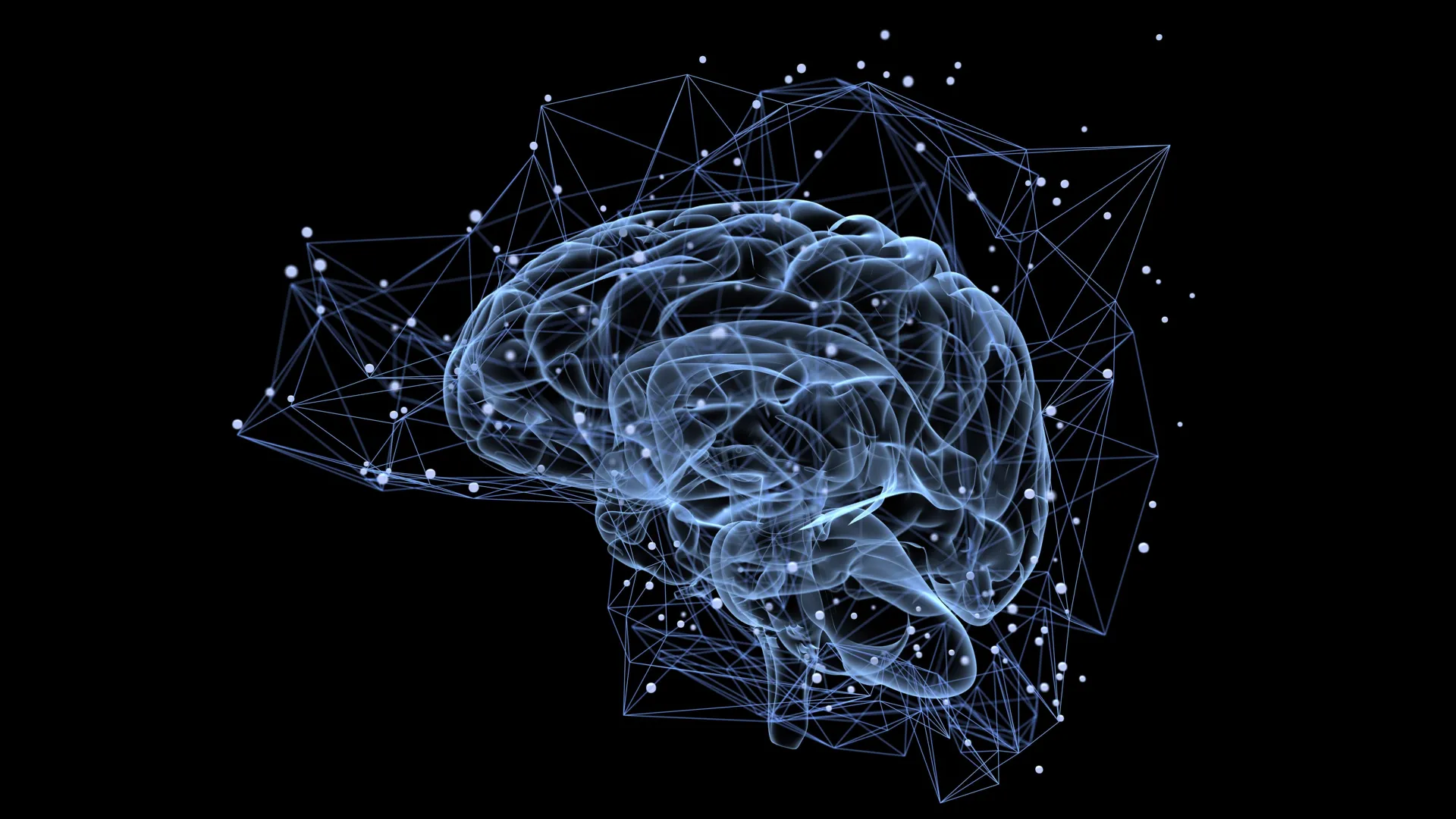 neural-circuits-orchestrate-dynamic-visual-perception-through-executive-control