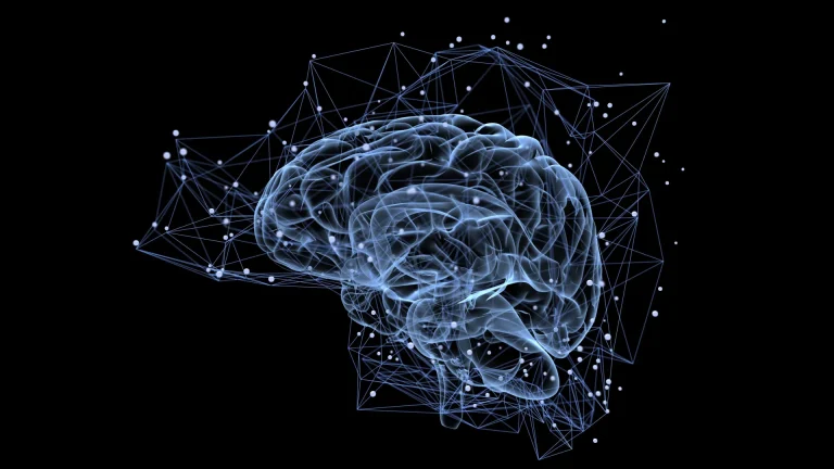 neural-timers-dictate-the-lifespan-of-our-recollections