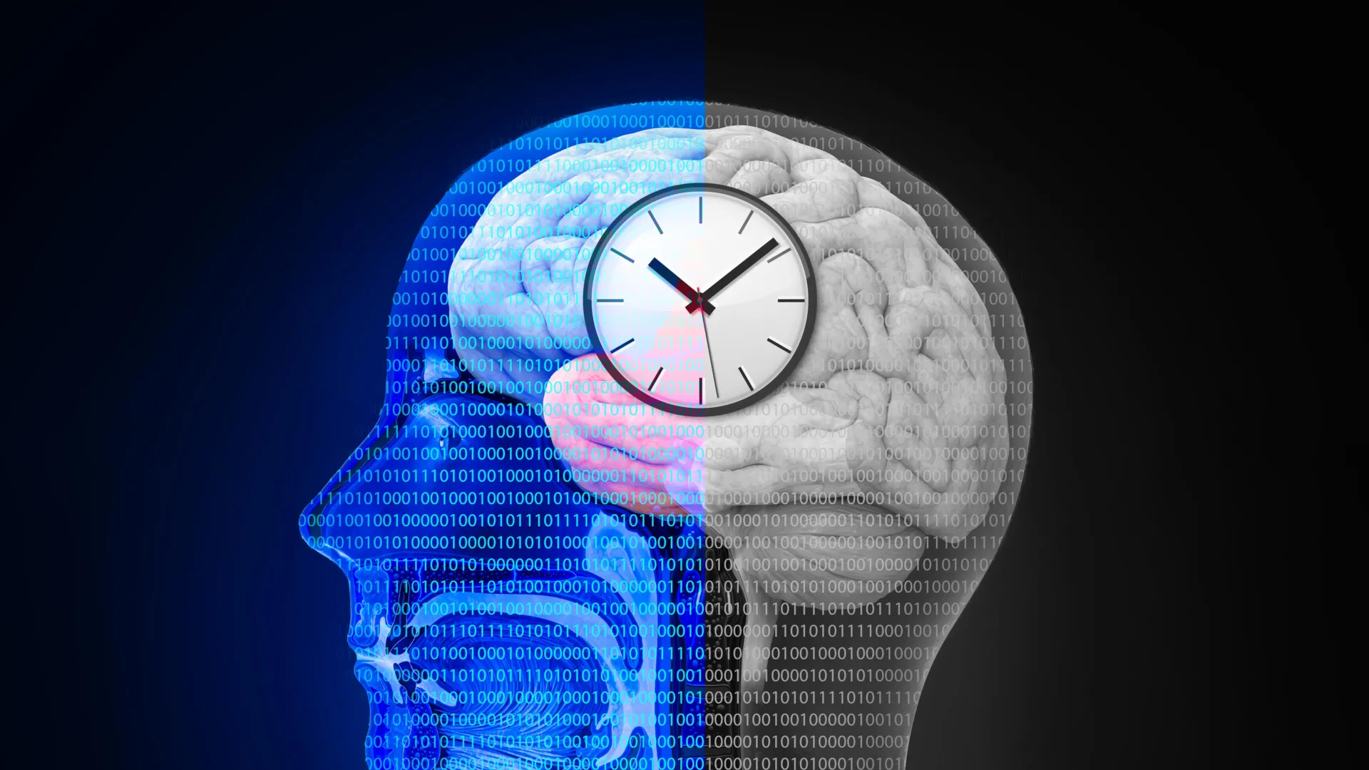 neural-timescale-integration-unraveling-the-brains-temporal-symphony-for-cognition-and-behavior
