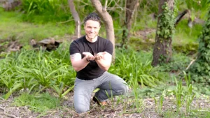 unveiling-the-hidden-architects-of-well-being-a-paradigm-shift-in-microbial-understanding