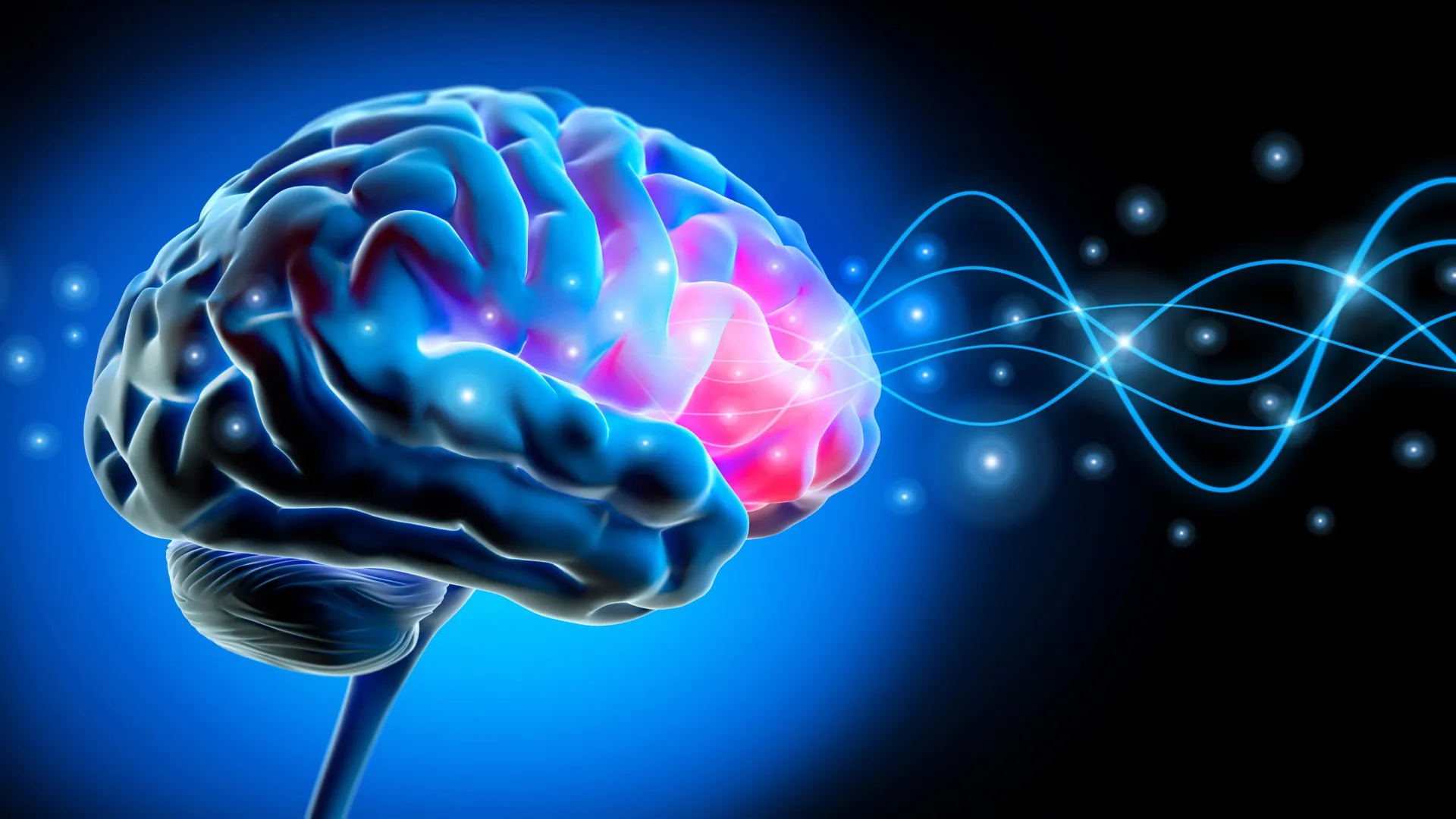 unveiling-the-neural-oscillations-guiding-embodiment-and-bodily-self-perception