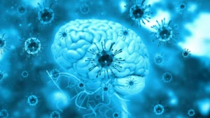 a-common-parasite-in-the-brain-is-far-more-active-than-we-thought-2