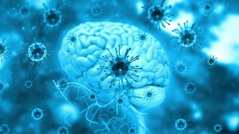 a-common-parasite-in-the-brain-is-far-more-active-than-we-thought-2