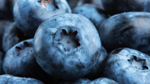 advancing-nutritional-science-a-deep-dive-into-wild-blueberries-mechanisms-for-heart-gut-and-brain-health