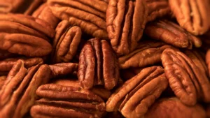 beyond-the-snack-a-comprehensive-scientific-review-affirms-pecans-significant-role-in-cardiovascular-wellness-and-optimal-dietary-patterns