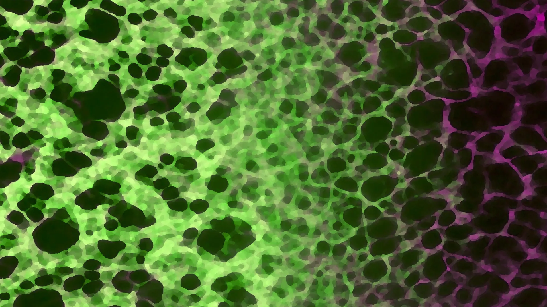 cellular-architects-reveal-novel-aging-mechanism-tied-to-organelle-reorganization