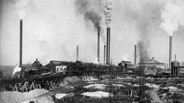 centennial-hair-analysis-reveals-dramatic-drop-in-human-lead-burden-following-environmental-reforms