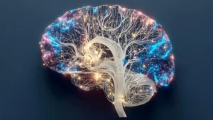 cerebrospinal-fluid-expulsion-during-wakefulness-linked-to-transient-attentional-deficits-in-sleep-deprived-individuals