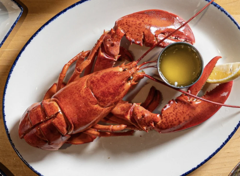 culinary-destinations-for-the-whole-lobster-experience-a-guide-to-premier-national-chain-restaurants