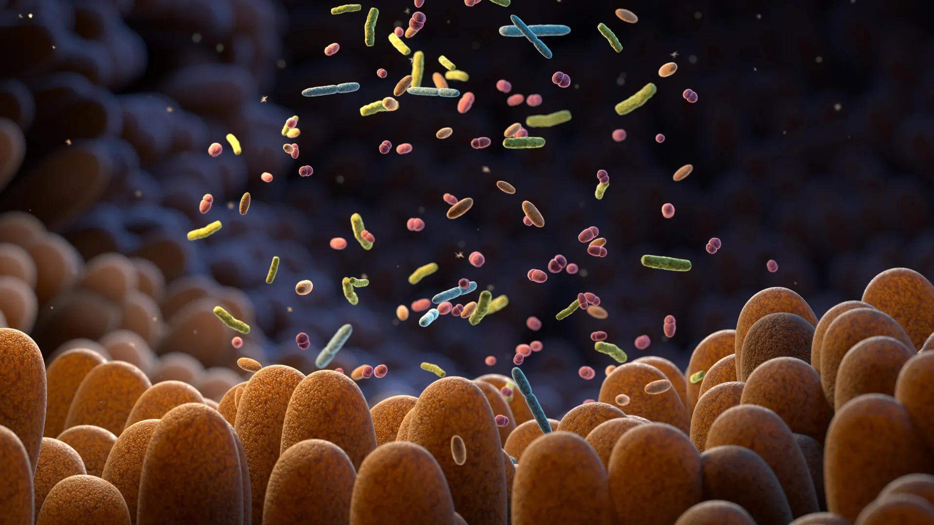 gut-bacteria-can-sense-their-environment-and-its-key-to-your-health