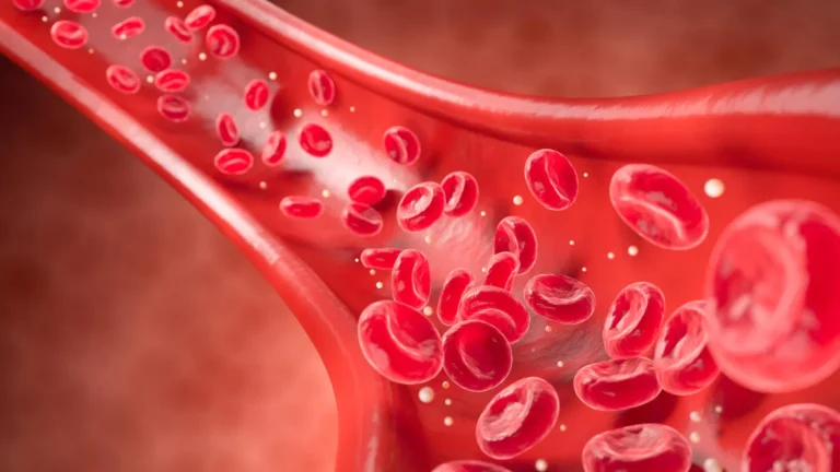 illuminating-the-unseen-novel-imaging-technology-unveils-microvascular-dysfunction-years-prior-to-clinical-manifestation-of-heart-disease