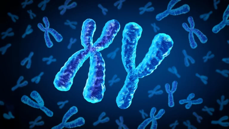 investigating-sex-hormones-a-key-to-unlocking-disparities-in-cardiovascular-disease-risk-among-individuals-with-type-2-diabetes