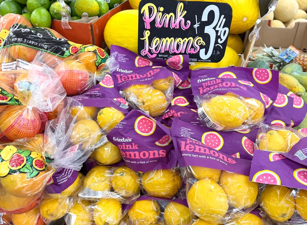 trader-joes-february-2026-unveiling-diverse-culinary-additions-set-to-delight-shoppers