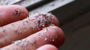 ubiquitous-plastic-fragments-detected-in-vast-majority-of-prostate-cancer-tumors-prompting-new-health-inquiries