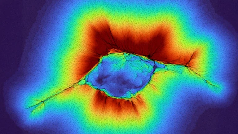 beyond-the-surface-new-insights-into-cellular-mechanosensing-and-its-role-in-cancer-metastasis