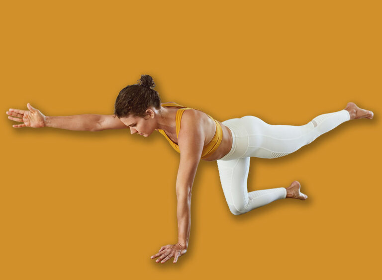 Yoga.,Woman,In,Balancing,Bird,Dog,Asana.,Female,Practicing,Chakravakasana