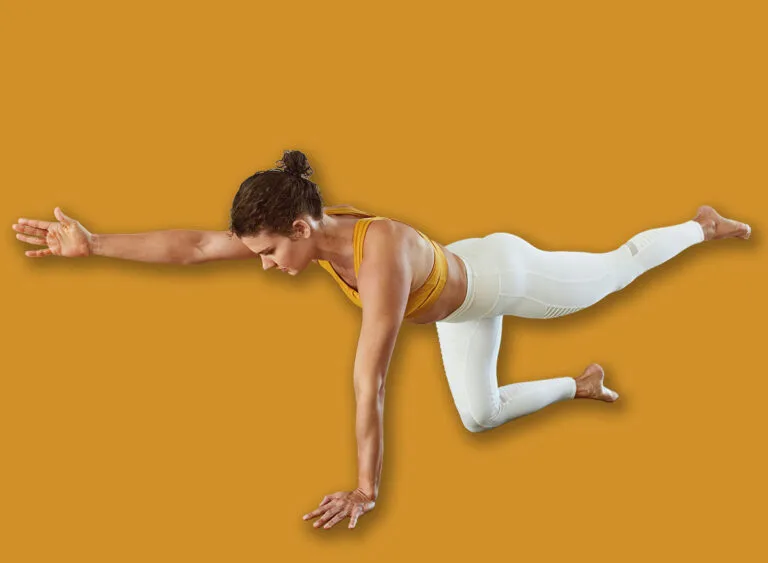Yoga.,Woman,In,Balancing,Bird,Dog,Asana.,Female,Practicing,Chakravakasana