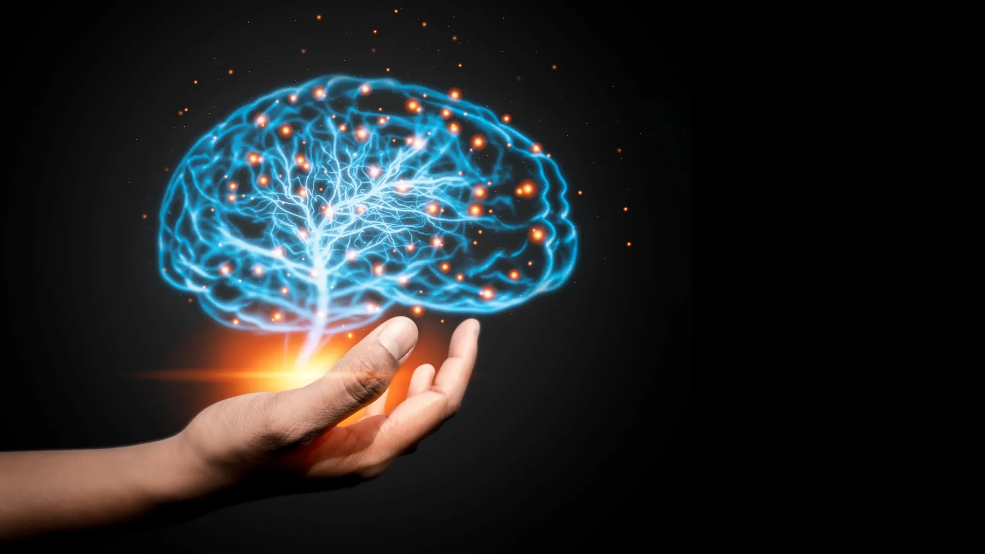 neural-architecture-unveiled-mechanical-rigidity-orchestrates-brain-wiring-signals