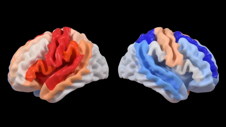 neuroplasticitys-paradoxical-youthfulness-ai-uncovers-unexpected-brain-reorganization-post-stroke