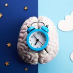 novel-compound-orchestrates-circadian-rhythm-reset-halving-jet-lag-adaptation-time-in-preclinical-trials