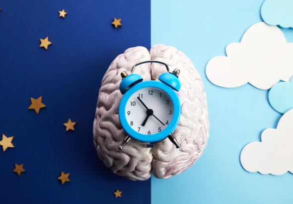 novel-compound-orchestrates-circadian-rhythm-reset-halving-jet-lag-adaptation-time-in-preclinical-trials