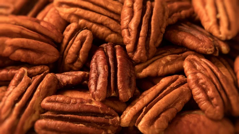 nutritional-science-unveils-profound-cardiovascular-advantages-of-native-american-pecans