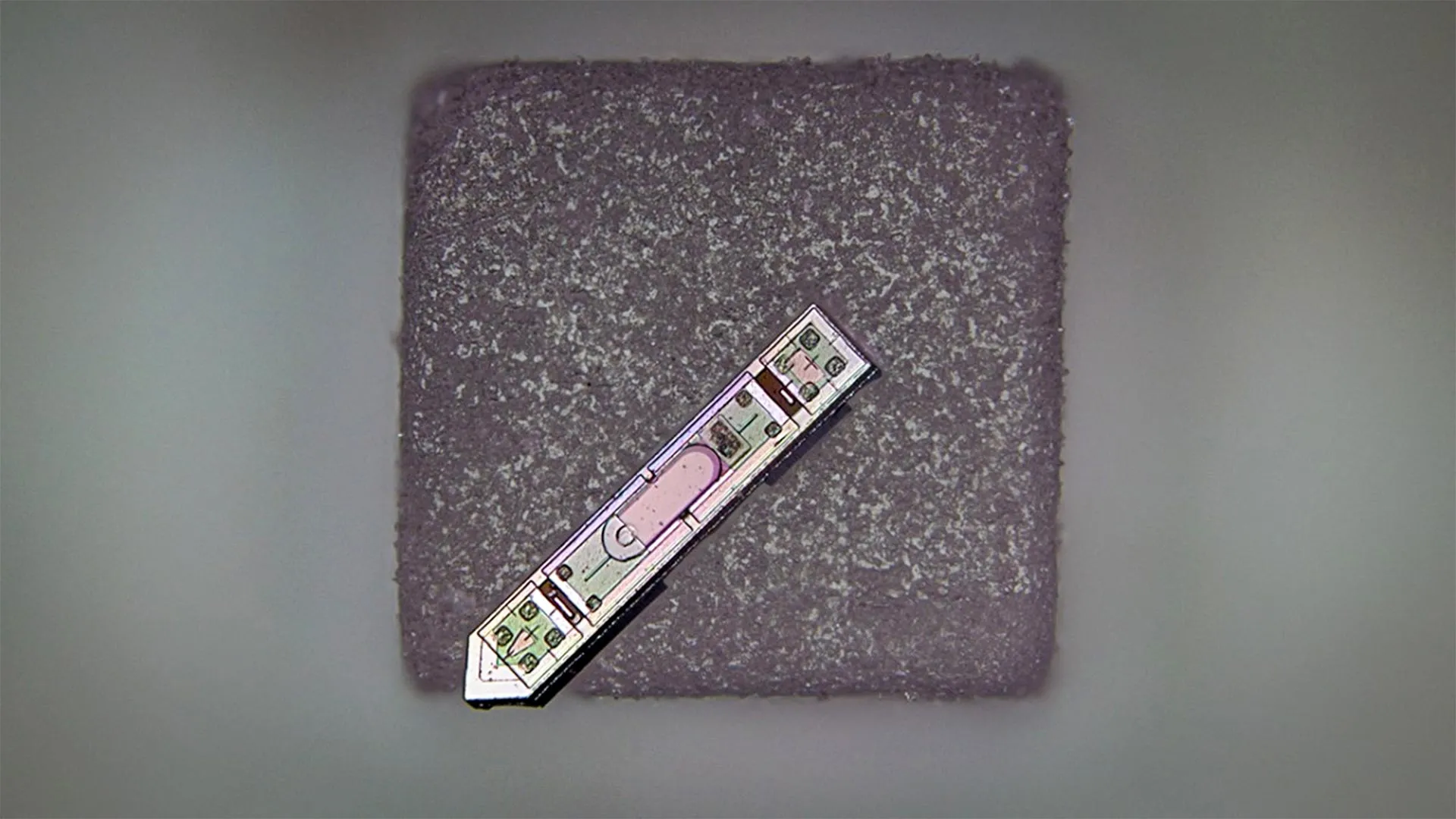 revolutionary-nanoscale-neural-interface-achieves-unprecedented-wireless-brain-activity-monitoring-in-living-subjects