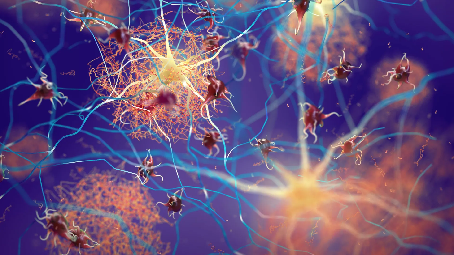 unlocking-novel-pathways-two-neural-receptors-identified-as-key-regulators-of-amyloid-clearance-in-the-brain