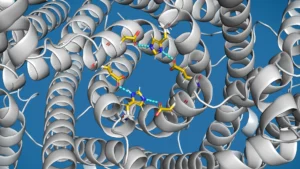 cellular-acidity-regulator-tmem175-unveiled-as-potential-parkinsons-therapeutic-target