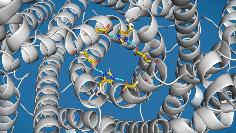 cellular-acidity-regulator-tmem175-unveiled-as-potential-parkinsons-therapeutic-target