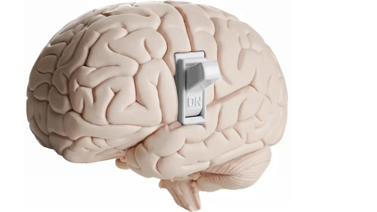 central-nervous-system-reveals-astrocytes-as-crucial-regulators-of-satiety-signals