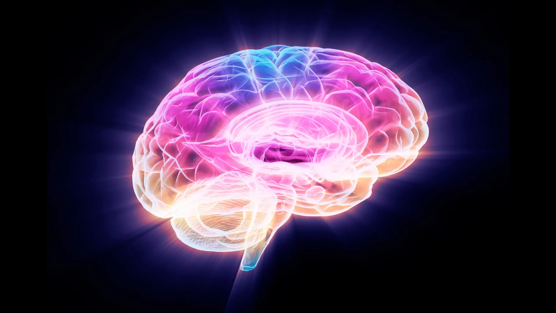novel-protein-identified-as-a-primary-culprit-in-age-related-hippocampal-degradation-offering-promising-therapeutic-avenues