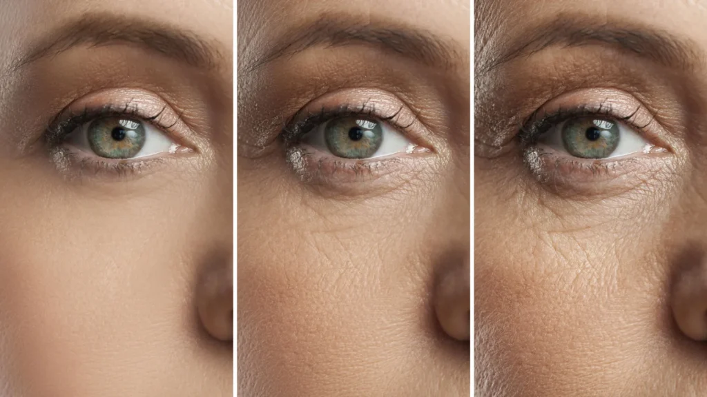 retinal-lipid-supplementation-a-novel-strategy-to-counteract-age-related-vision-decline-and-macular-degeneration