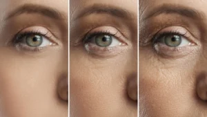 retinal-lipid-supplementation-a-novel-strategy-to-counteract-age-related-vision-decline-and-macular-degeneration