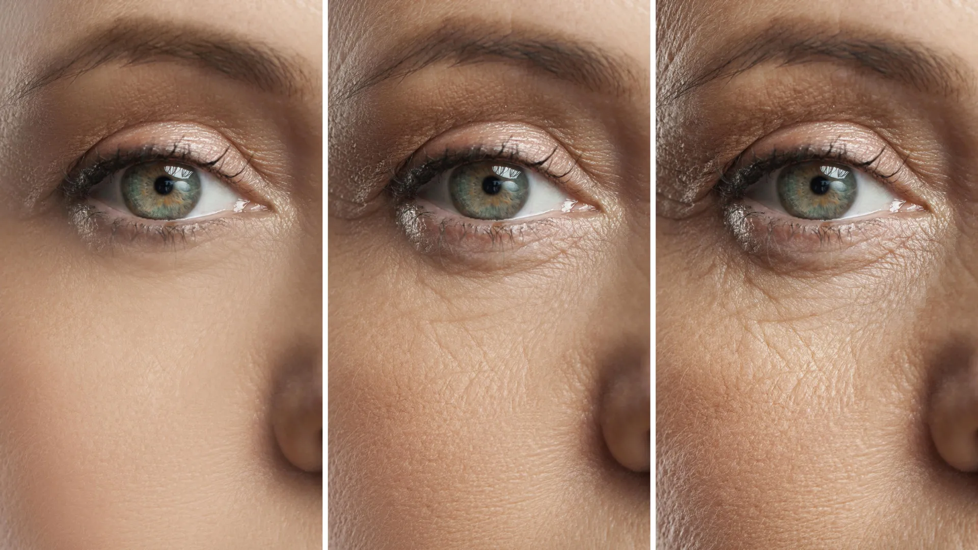 retinal-lipid-supplementation-a-novel-strategy-to-counteract-age-related-vision-decline-and-macular-degeneration