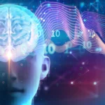 unveiling-the-neural-architecture-orchestrating-overnight-somatic-and-cognitive-restoration