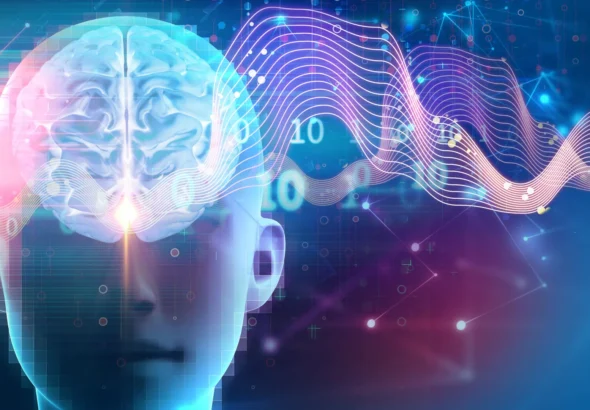 unveiling-the-neural-architecture-orchestrating-overnight-somatic-and-cognitive-restoration