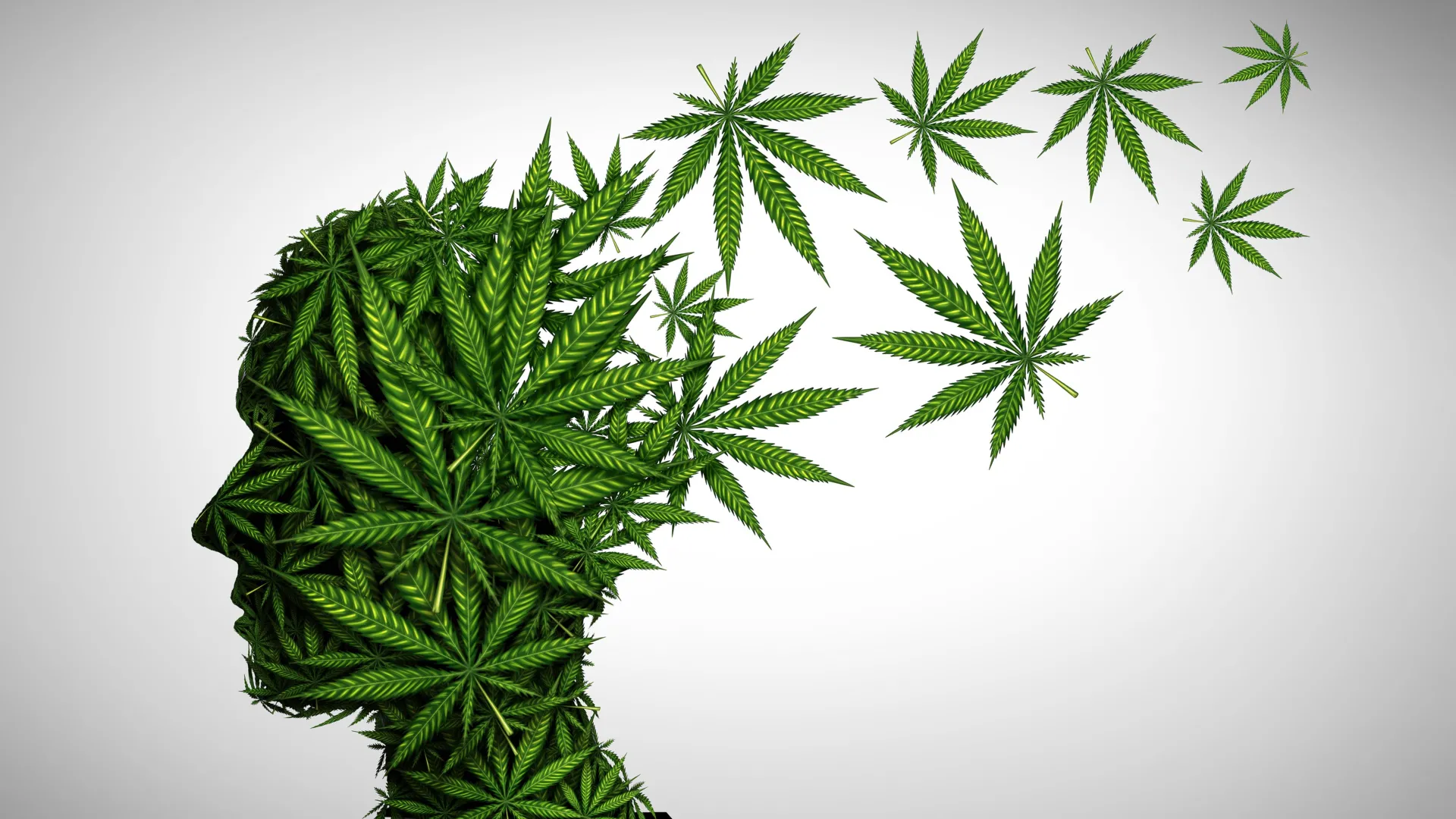 adolescent-cannabis-exposure-correlates-with-elevated-risk-for-severe-mental-health-conditions-in-young-adulthood