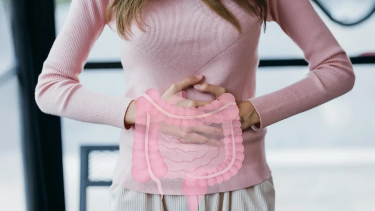 dietary-bioactive-compound-offers-insight-into-regulating-intestinal-muscle-function-for-digestive-health