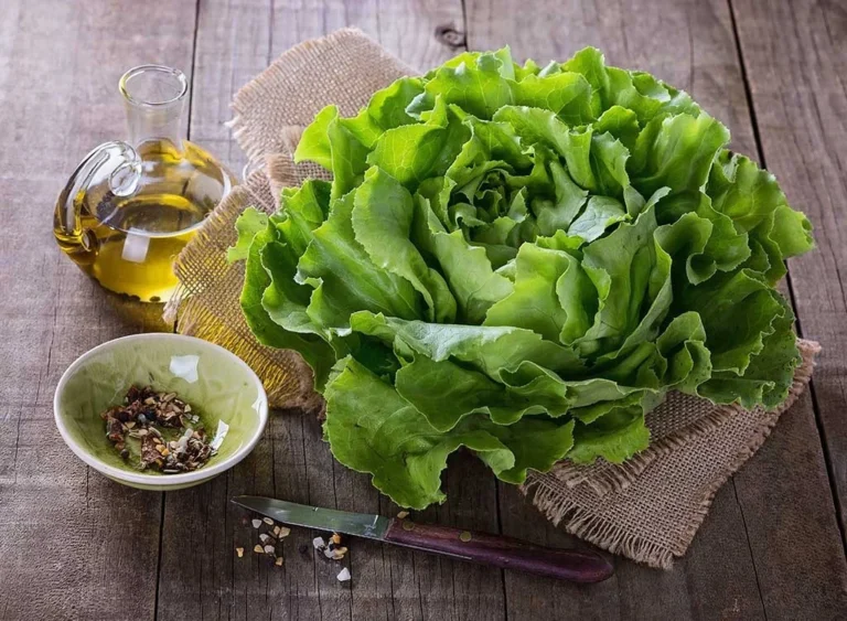 extensive-cyclosporiasis-outbreak-linked-to-central-mexican-lettuce-triggers-widespread-food-service-withdrawals